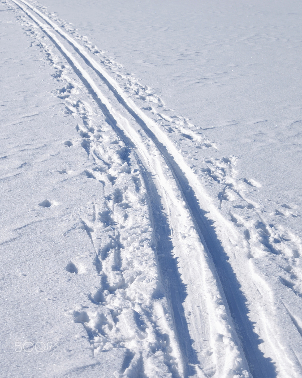 Nikon D610 sample photo. Cross country ski track. photography