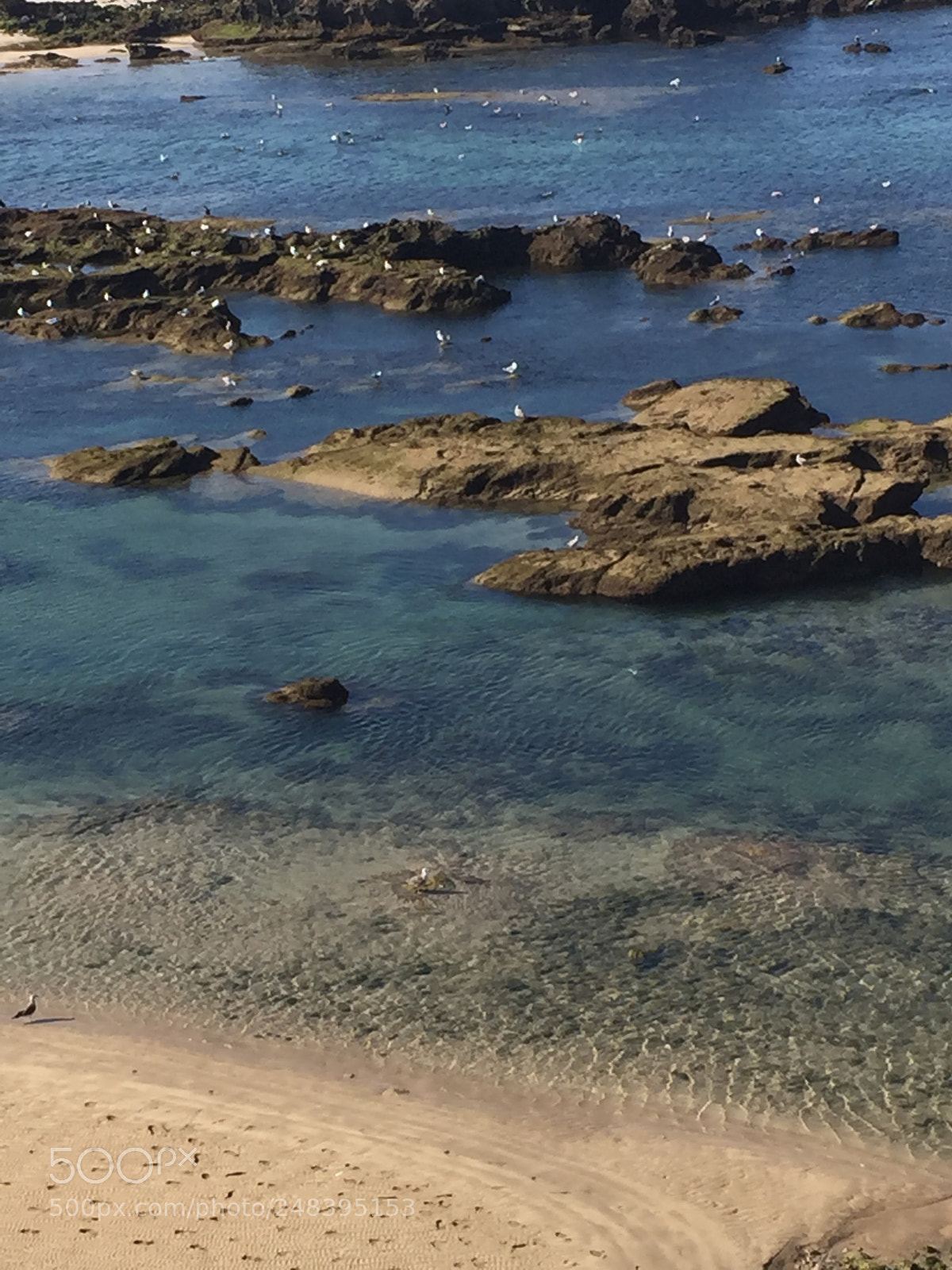 Apple iPhone 6 Plus sample photo. Morocco ,essaouira city beautiful photography