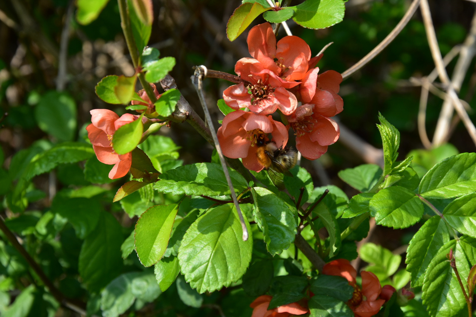 Nikon D3400 sample photo