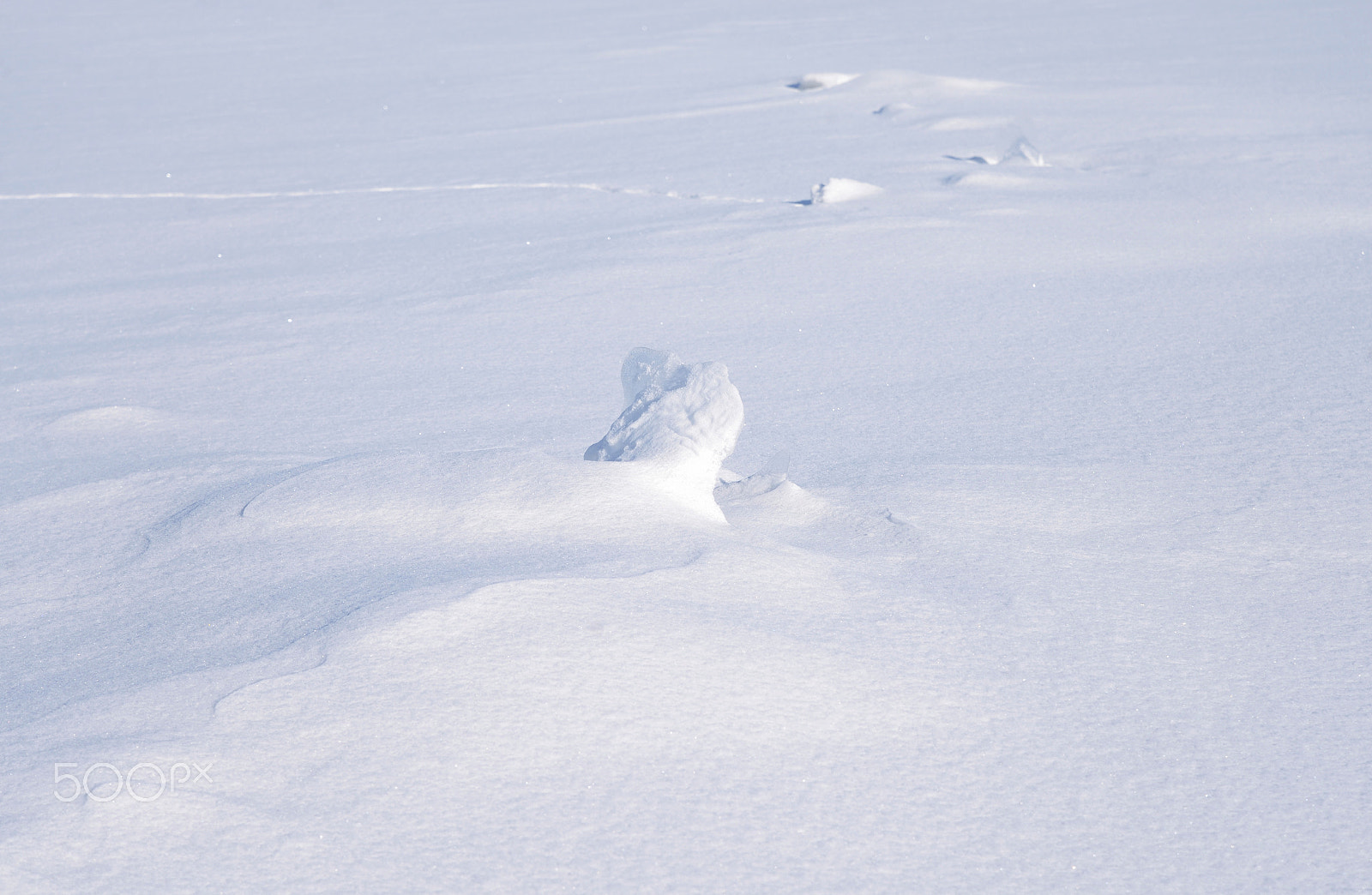 Nikon D610 sample photo. Fresh snow background. photography