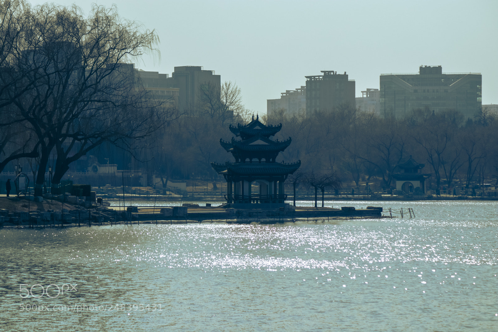 Canon EOS 80D sample photo. Img photography
