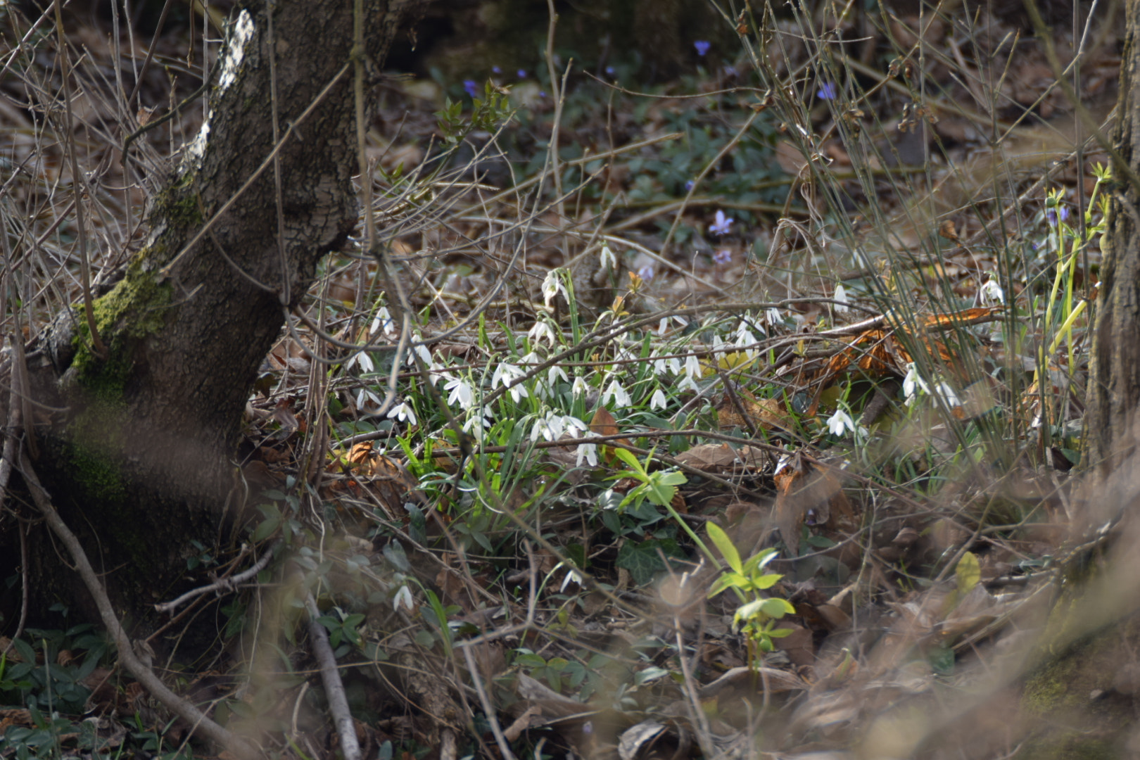 Nikon D5300 sample photo. Tesoro nascosto photography