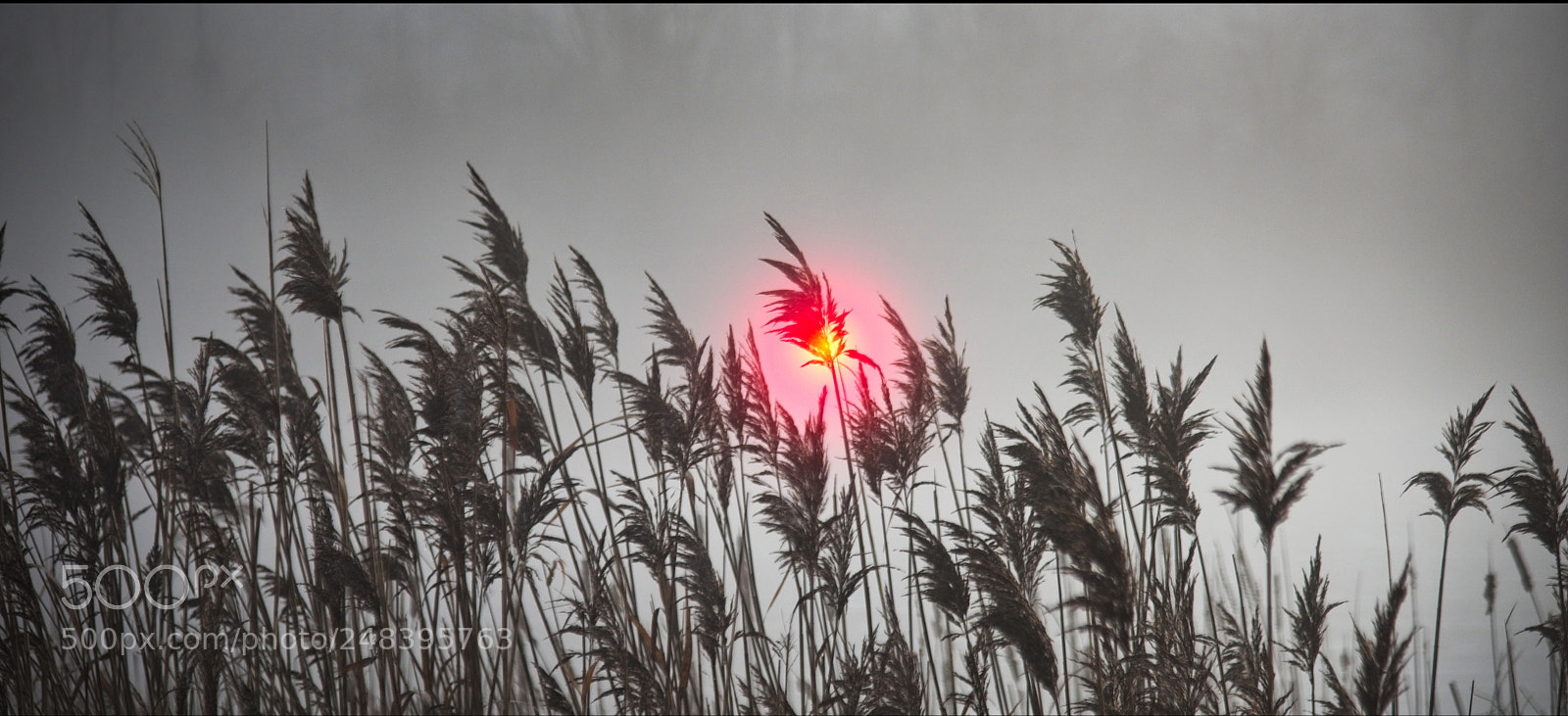 Nikon D810 sample photo. Punderson redux photography