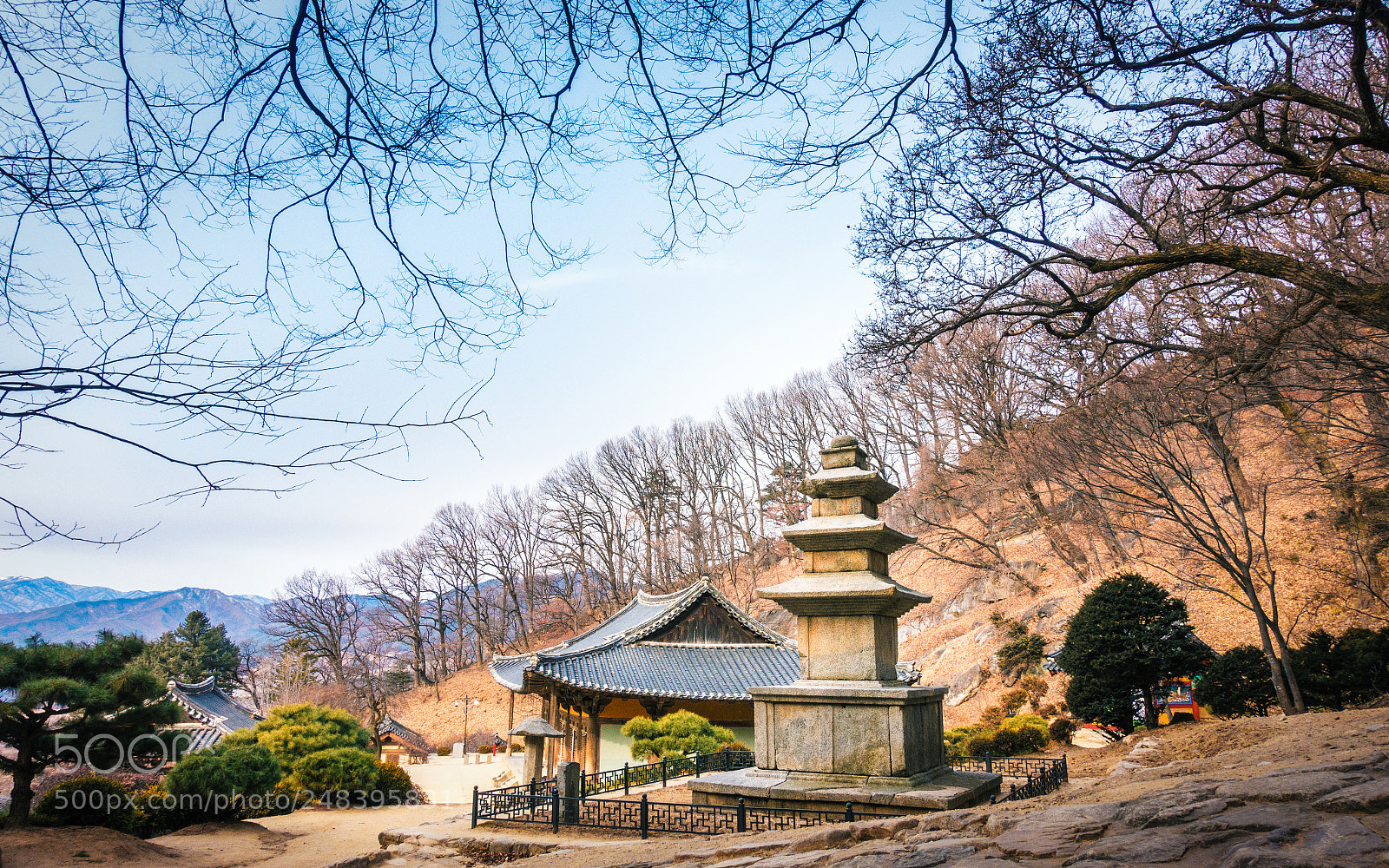 Sony Cyber-shot DSC-RX100 III sample photo. Pagoda photography