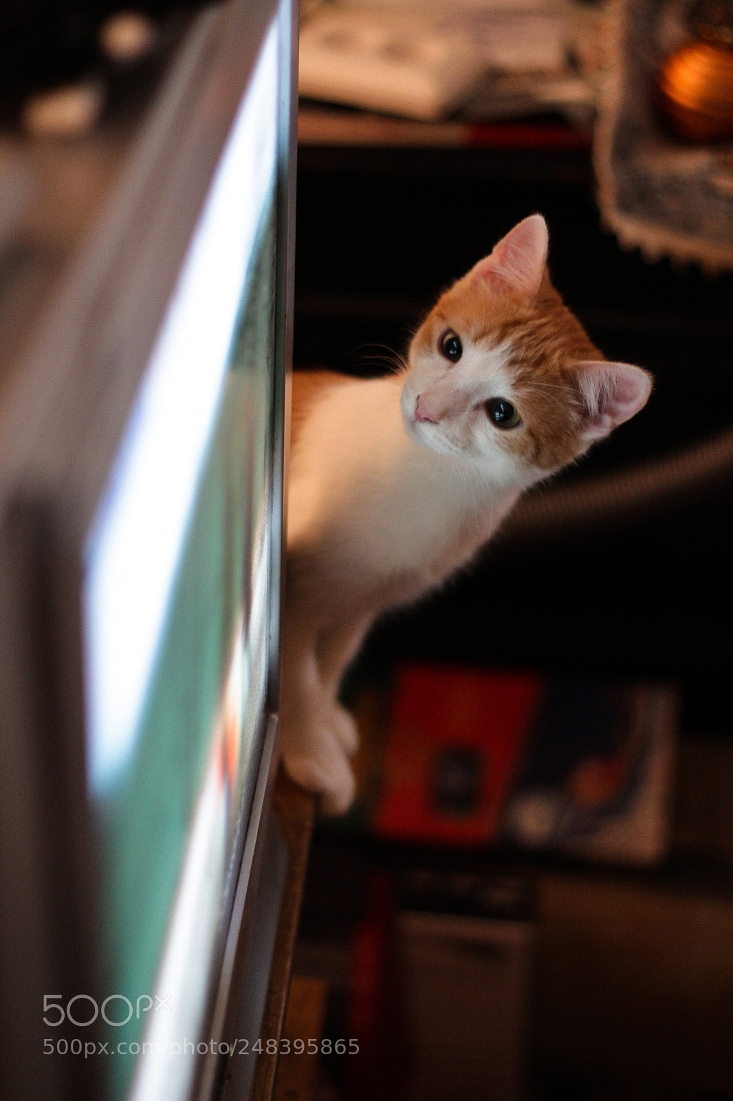Canon EOS 60D sample photo. M a r s photography