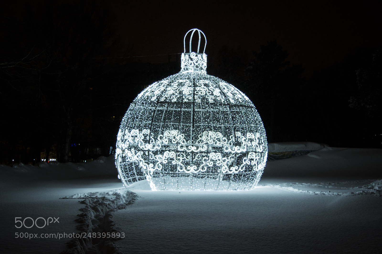 Nikon D7100 sample photo. White in winter night photography
