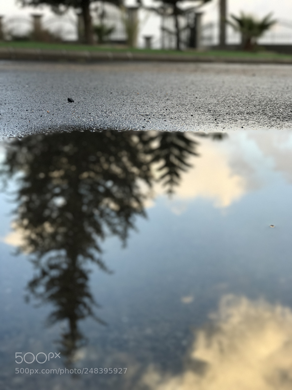 Apple iPhone 7 Plus sample photo. Beautiful day ? photography