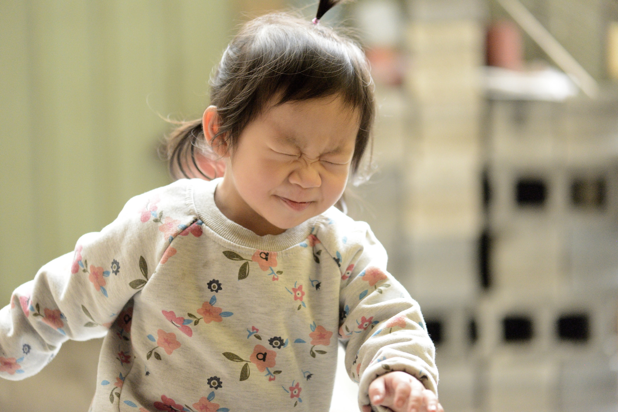 Nikon D800 sample photo
