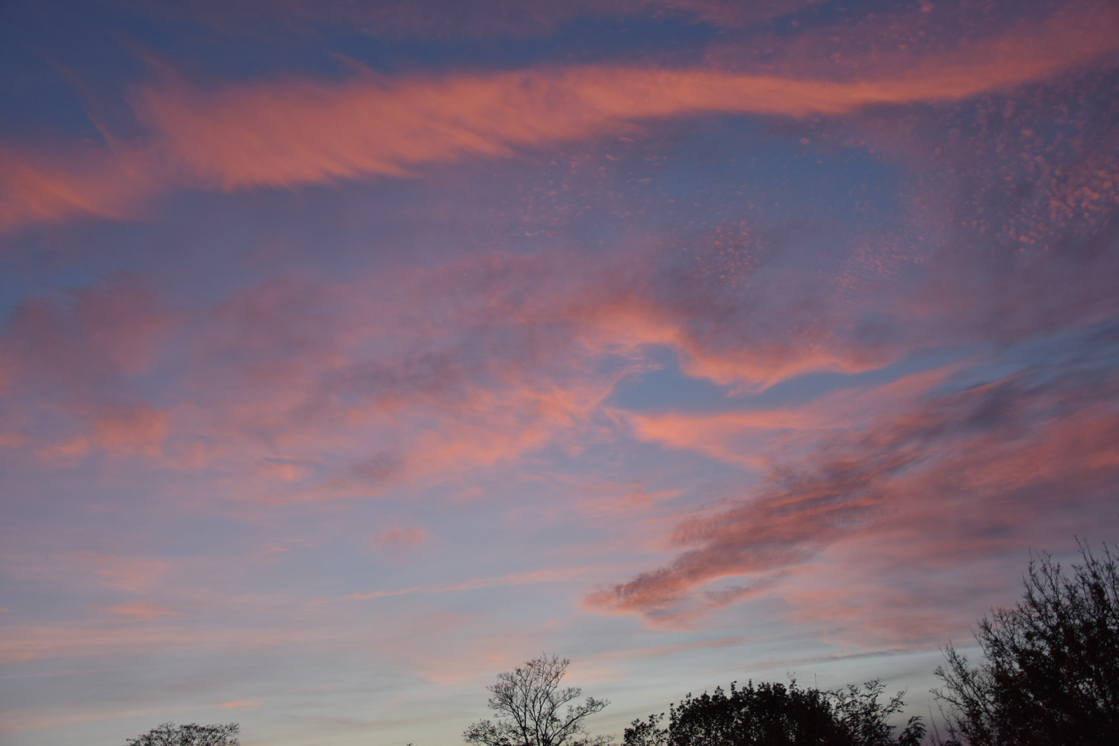 Nikon D3400 sample photo