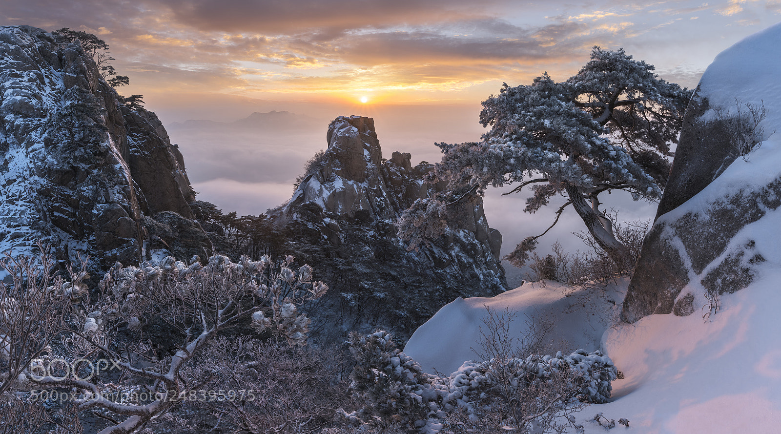 Nikon D810 sample photo. Dobongsan dreaming photography