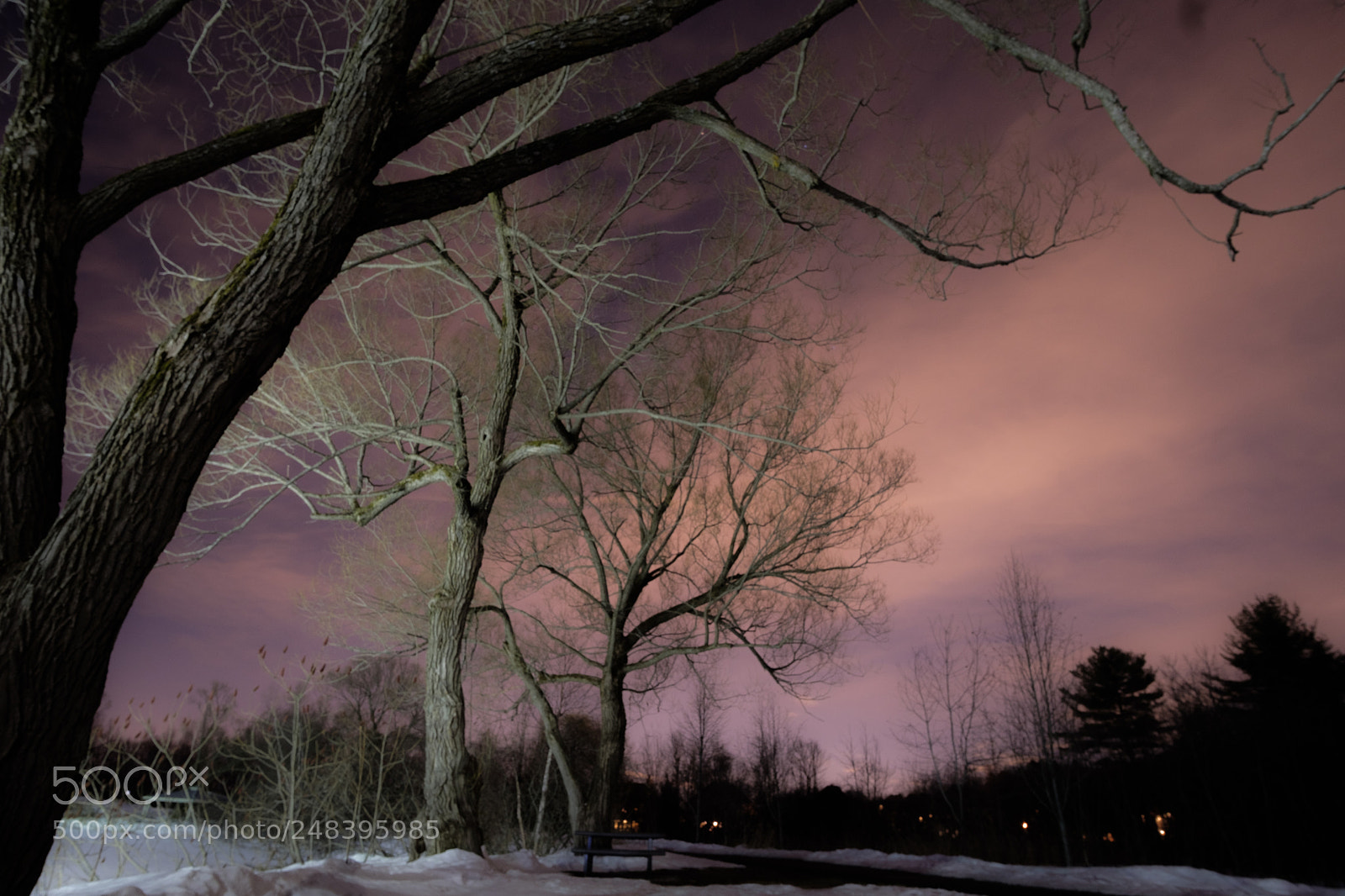 Fujifilm X-T2 sample photo. Evening in the park photography