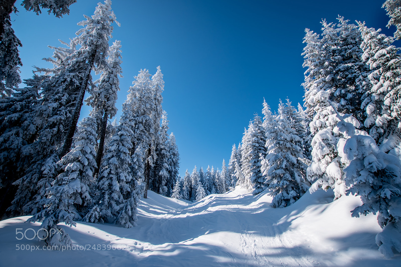 Sony a6300 sample photo. Ski tour allgau photography