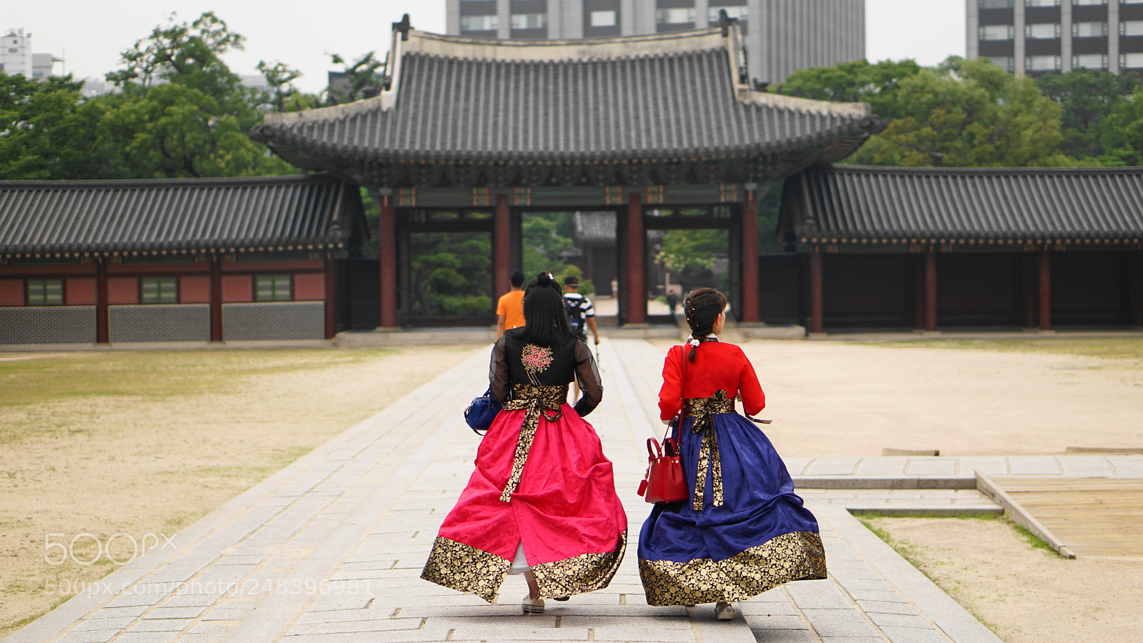 Sony a6000 sample photo. 경희궁 photography