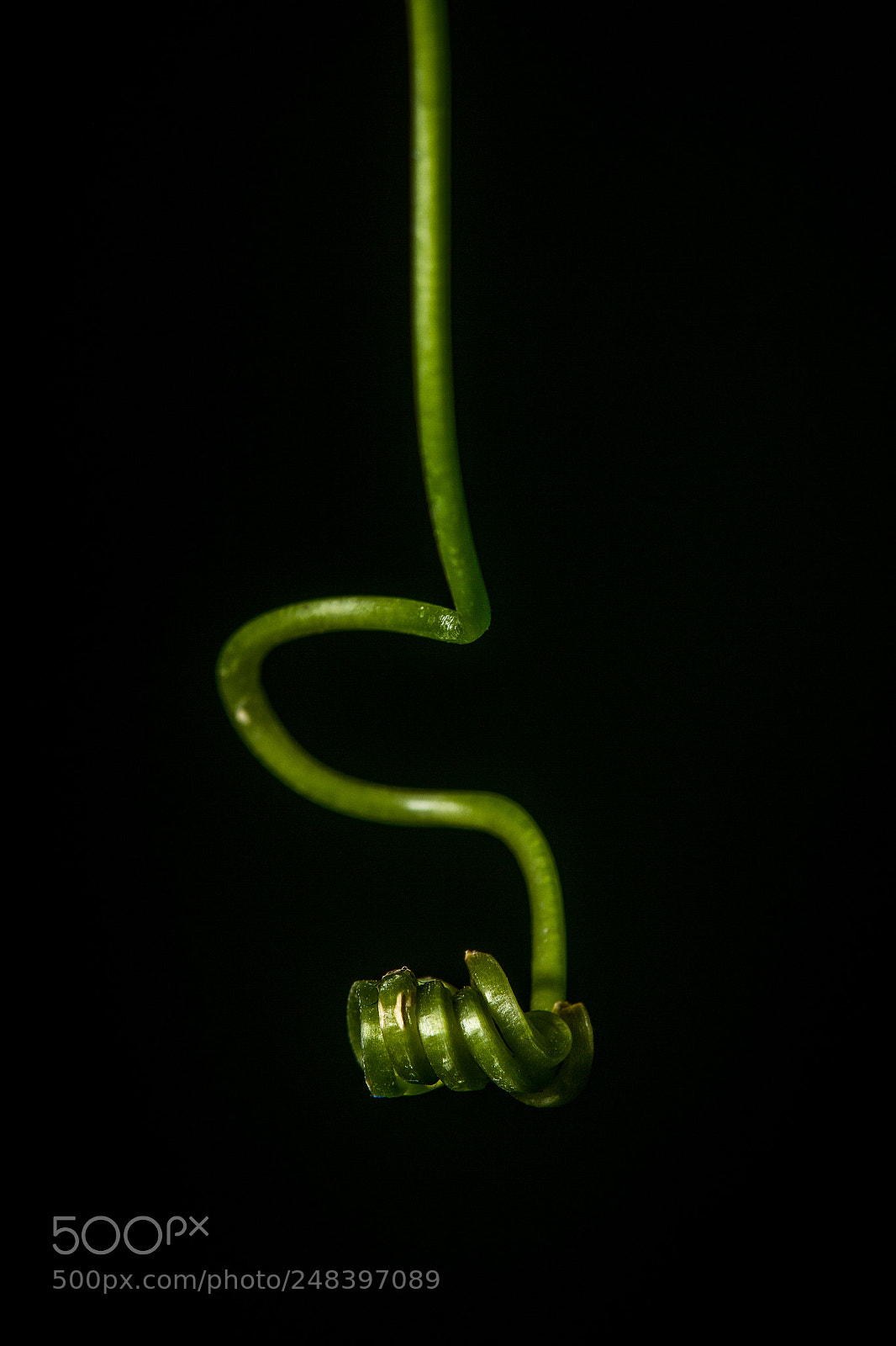 Canon EOS 60D sample photo. "s" for simplicity photography
