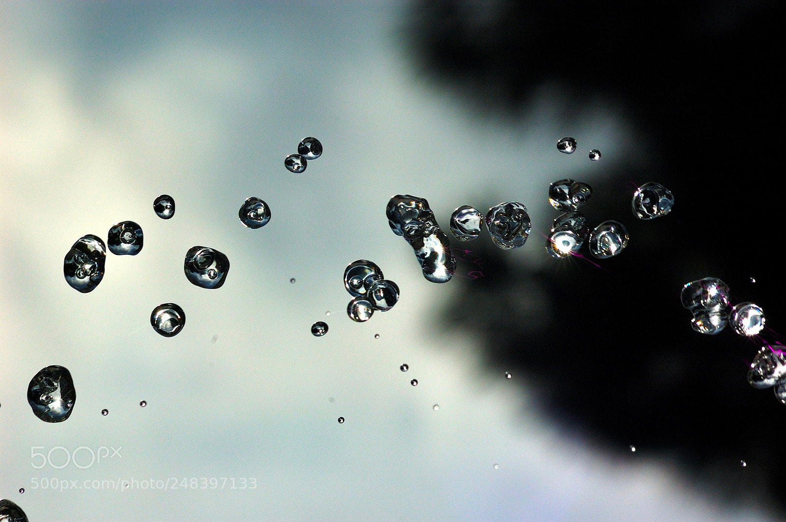 Nikon D70s sample photo. Untitled photography