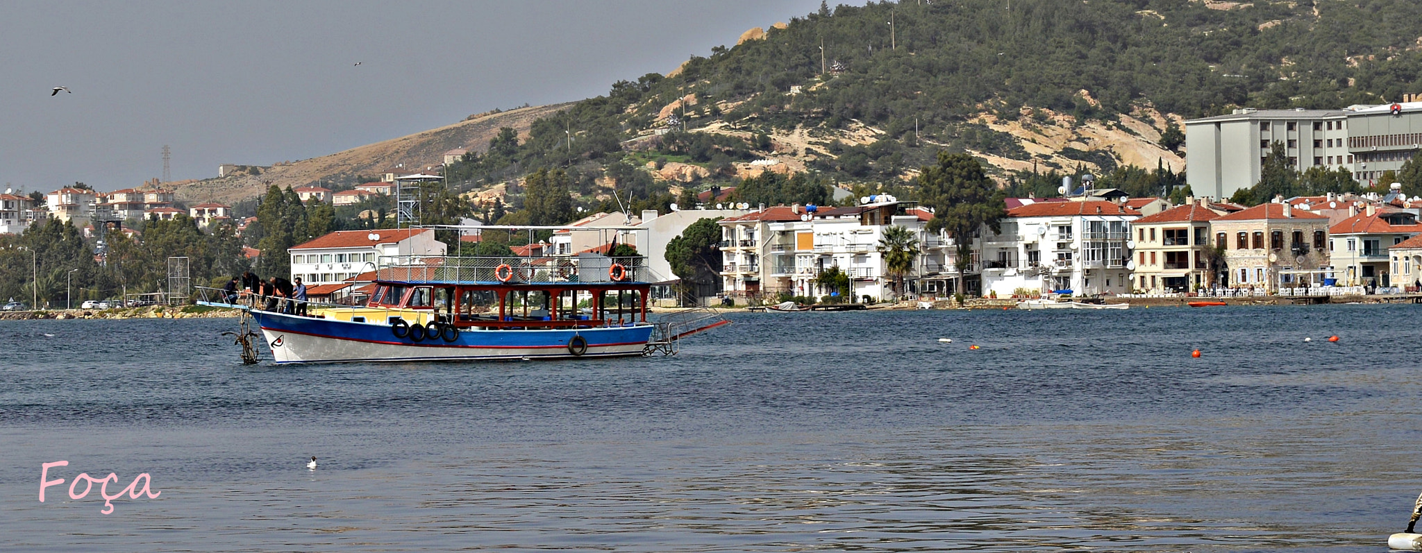 Nikon AF-S Nikkor 24-70mm F2.8G ED sample photo. Foça-İzmİr   tÜrkİye photography