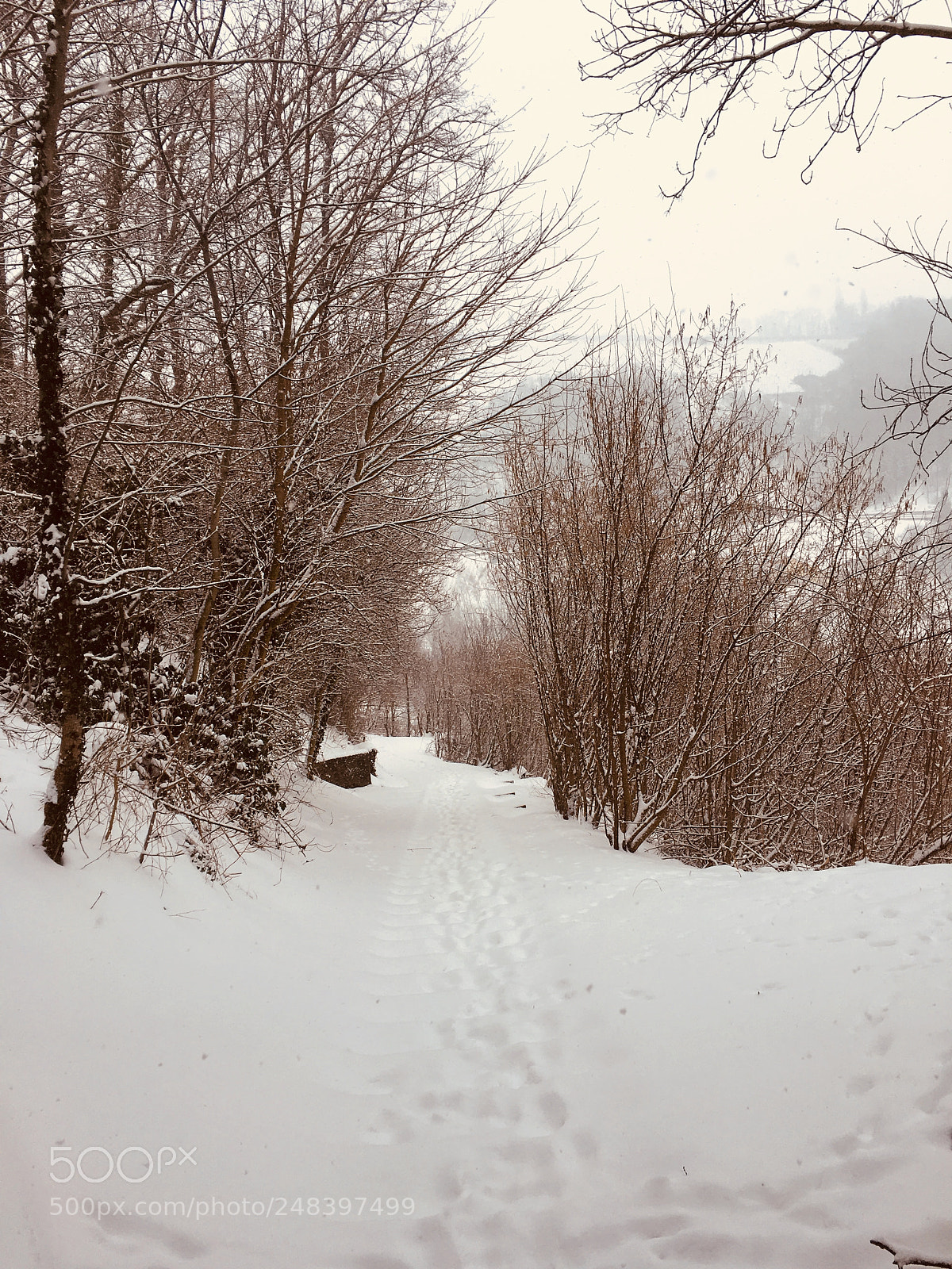 Apple iPhone 6s sample photo. Snow. steps. photography