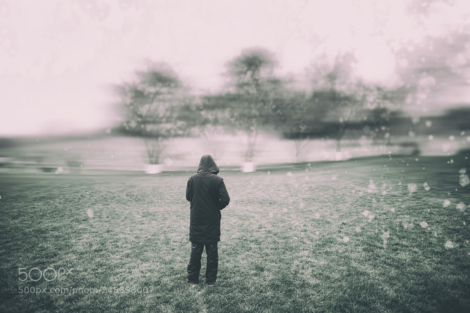 Pentax K-1 sample photo. ... photography