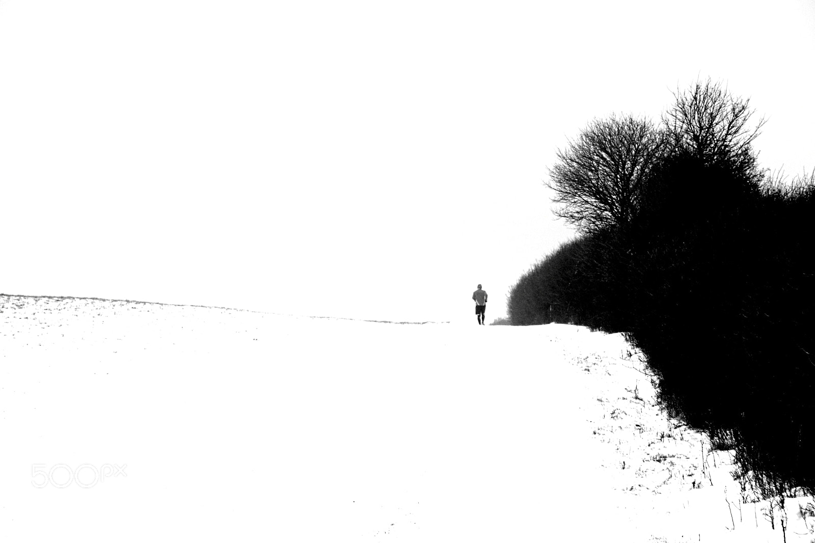 Sony DSC-R1 sample photo. Running over snow photography