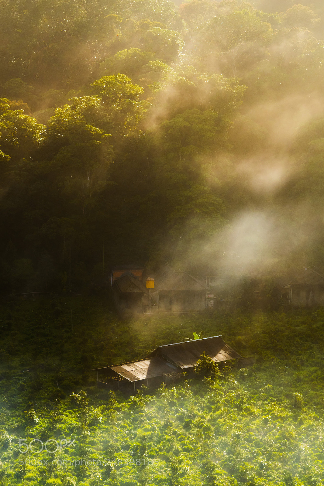 Fujifilm X-T1 sample photo. Untitled photography