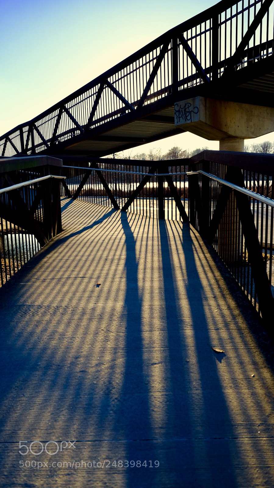 Fujifilm GFX 50S sample photo. Shadow photography