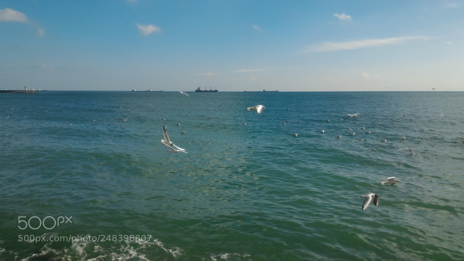 ASUS ZenFone 2 (ZE551ML) sample photo. Untitled photography