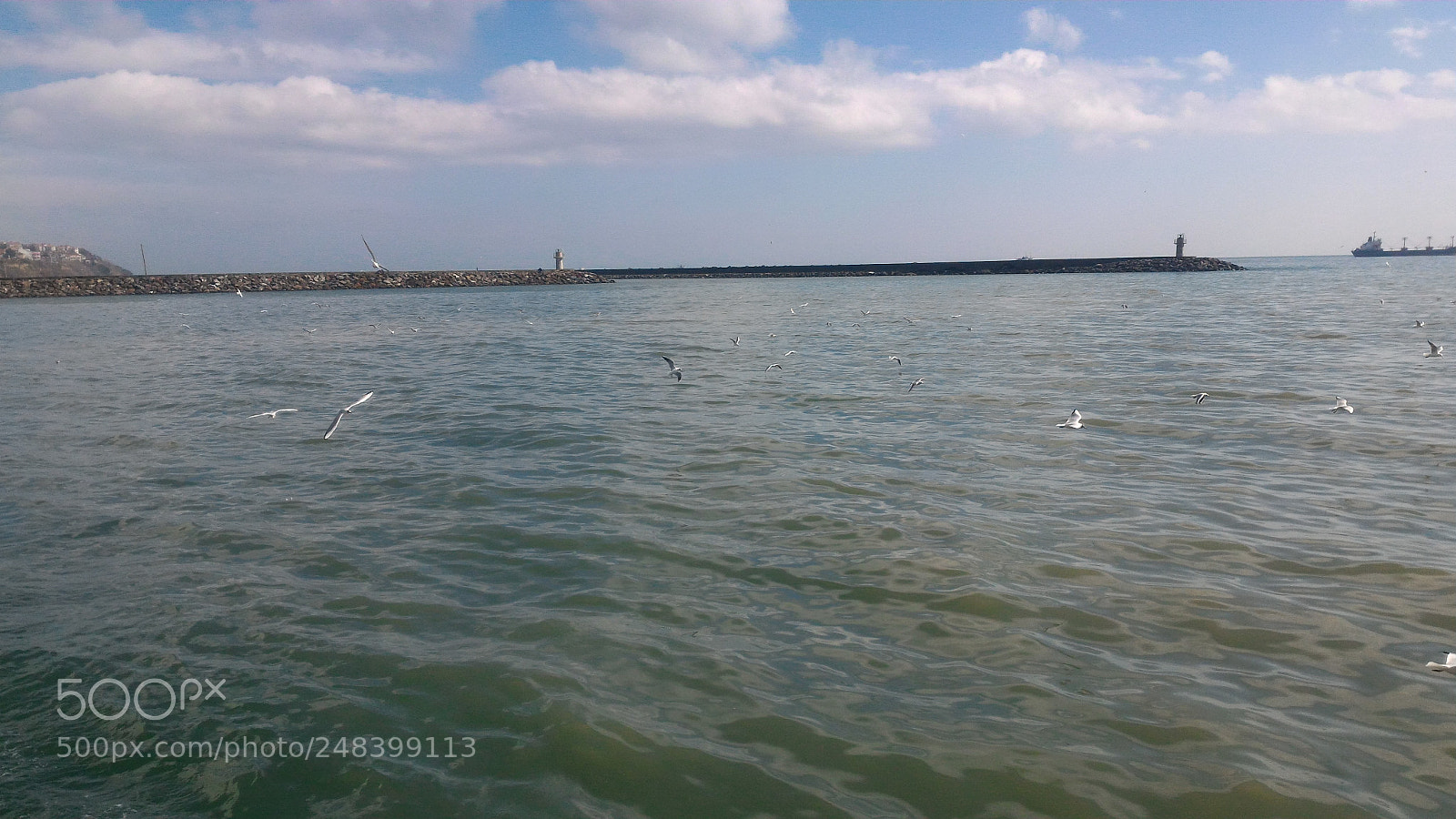 ASUS ZenFone 2 (ZE551ML) sample photo. Untitled photography