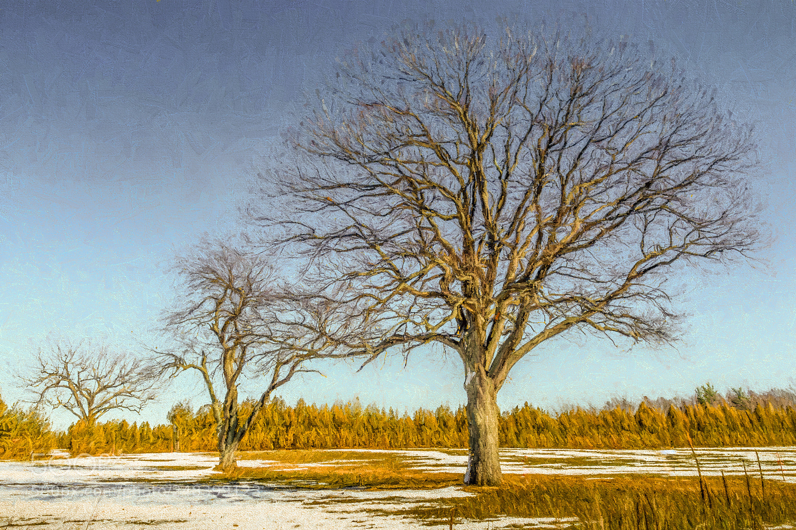 Nikon D7100 sample photo. Mighty photography