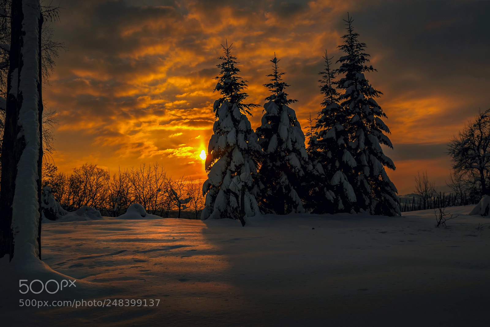 Nikon D5500 sample photo. Sunset snow...:! photography