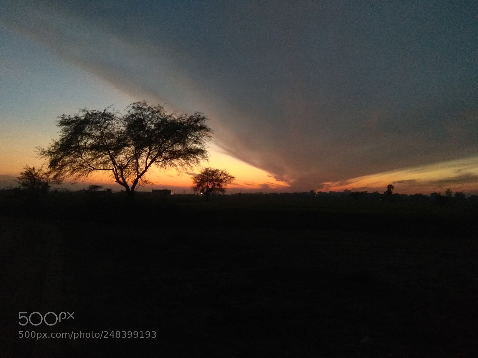 Xiaomi Redmi Note 4 sample photo. Untitled photography