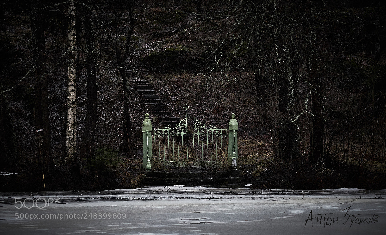 Sony a7 II sample photo. Dsc00213_0.jpg photography