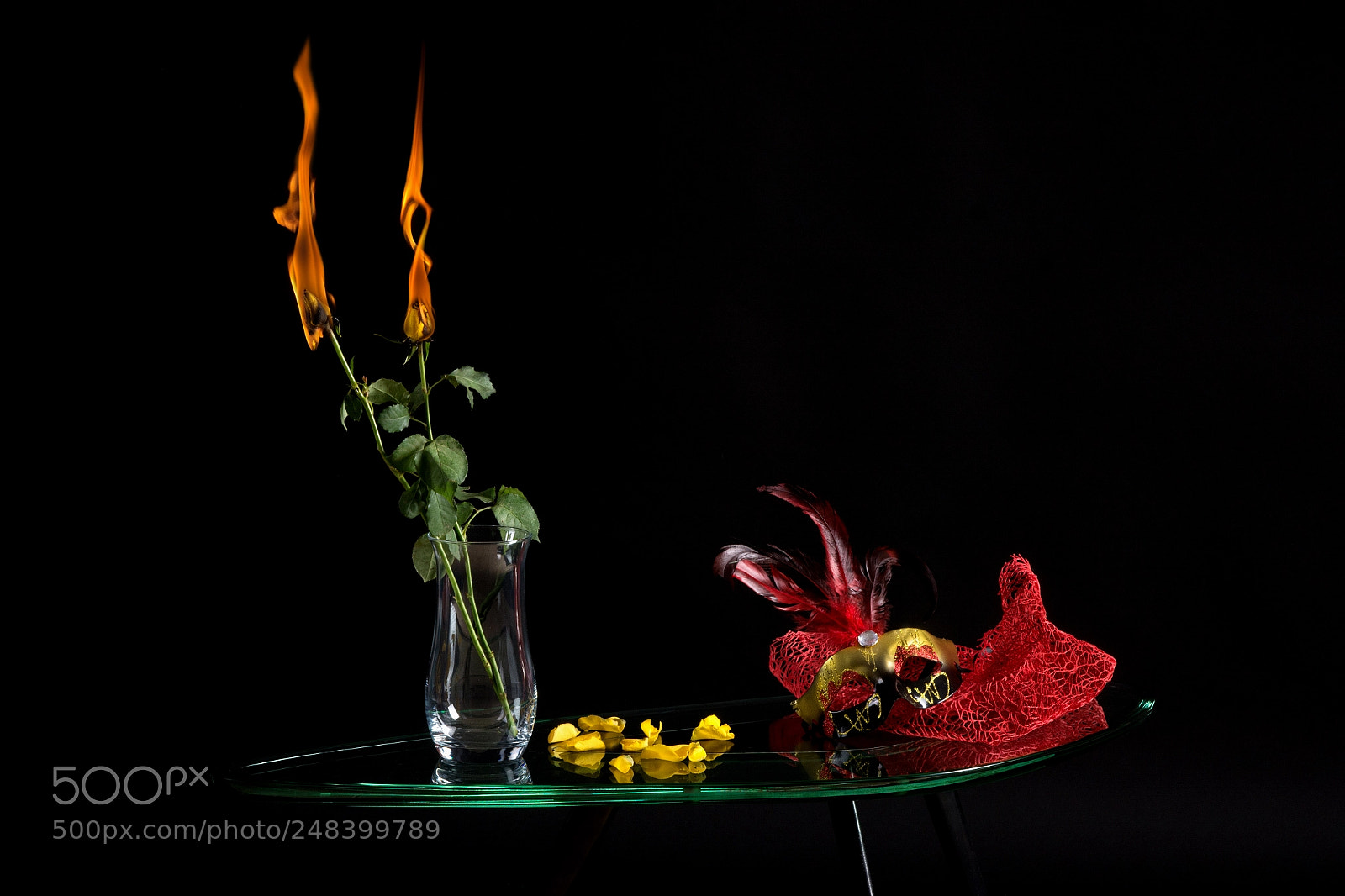 Nikon D7100 sample photo. Rose photography