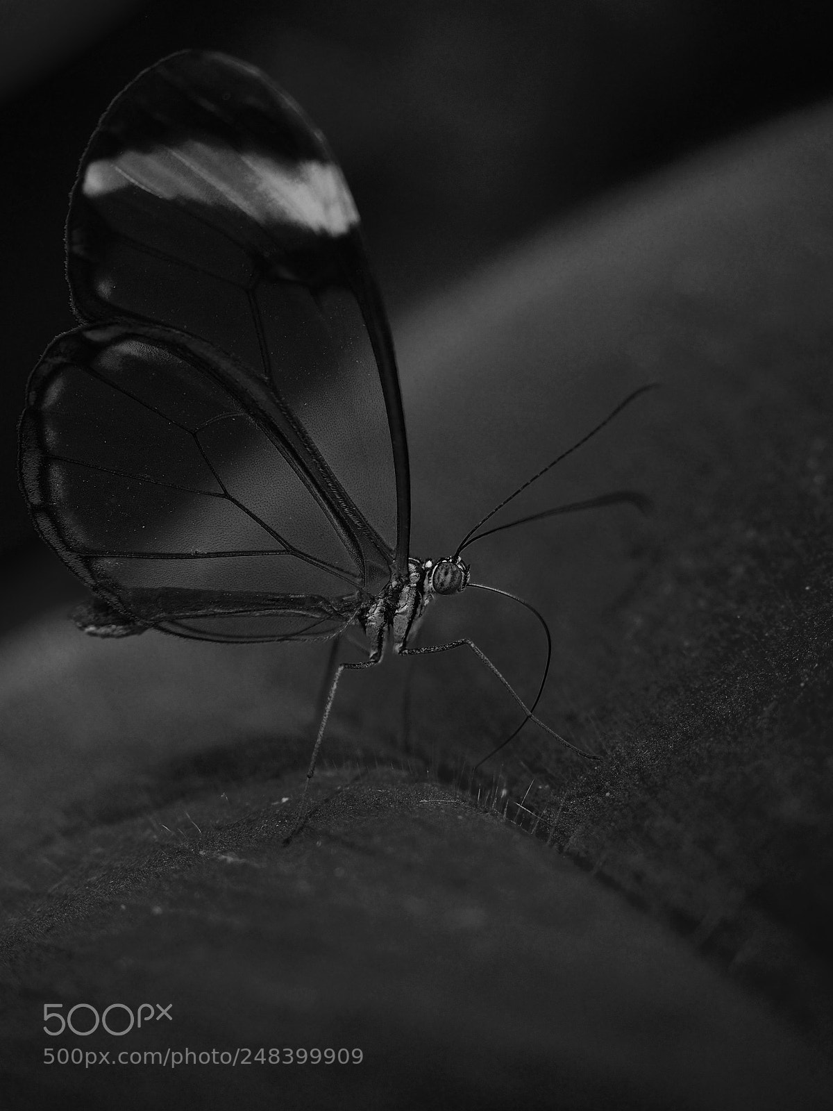 Olympus OM-D E-M5 II sample photo. Night shift to green photography
