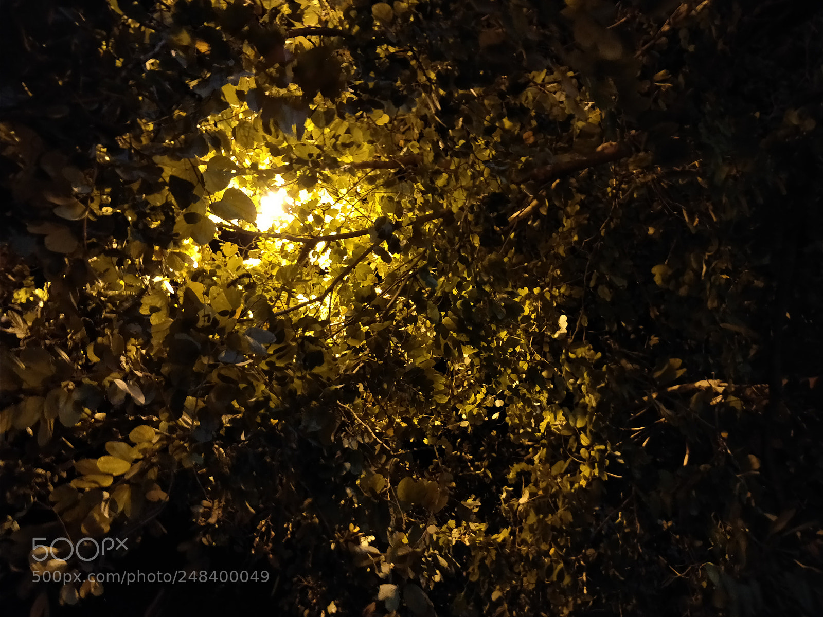 OnePlus 5T sample photo. Untitled photography