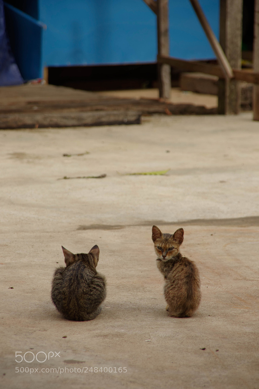 Pentax K-5 sample photo. Myanmar photography