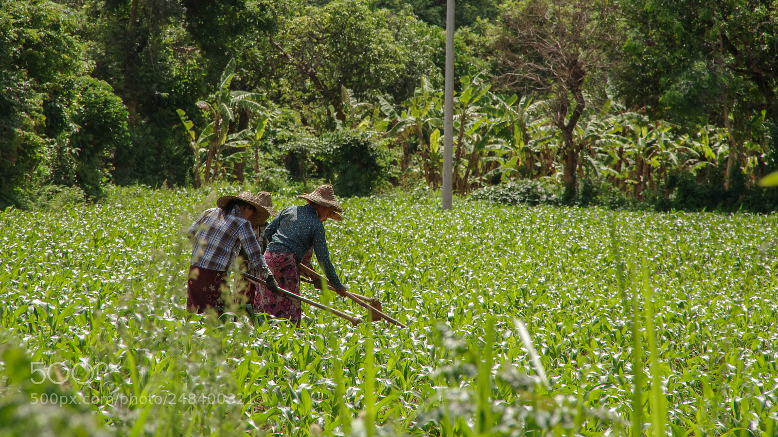 Pentax K-5 sample photo. Myanmar photography