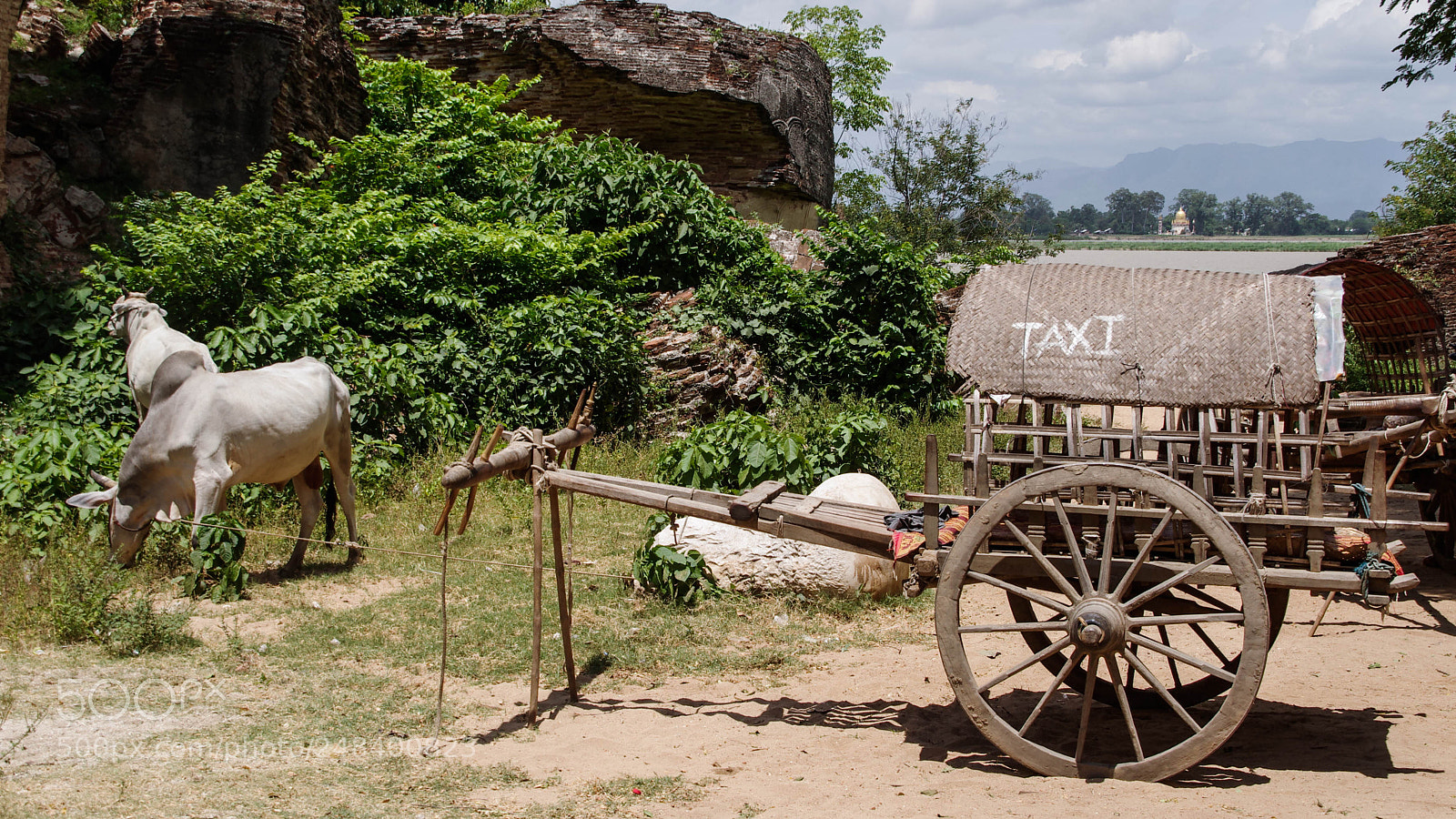 Pentax K-5 sample photo. Myanmar photography
