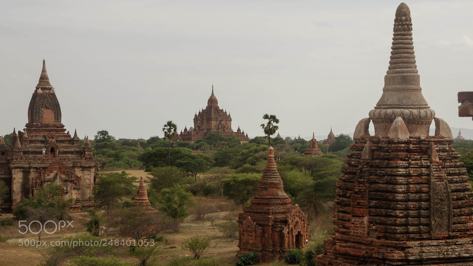 Pentax K-5 sample photo. Myanmar photography