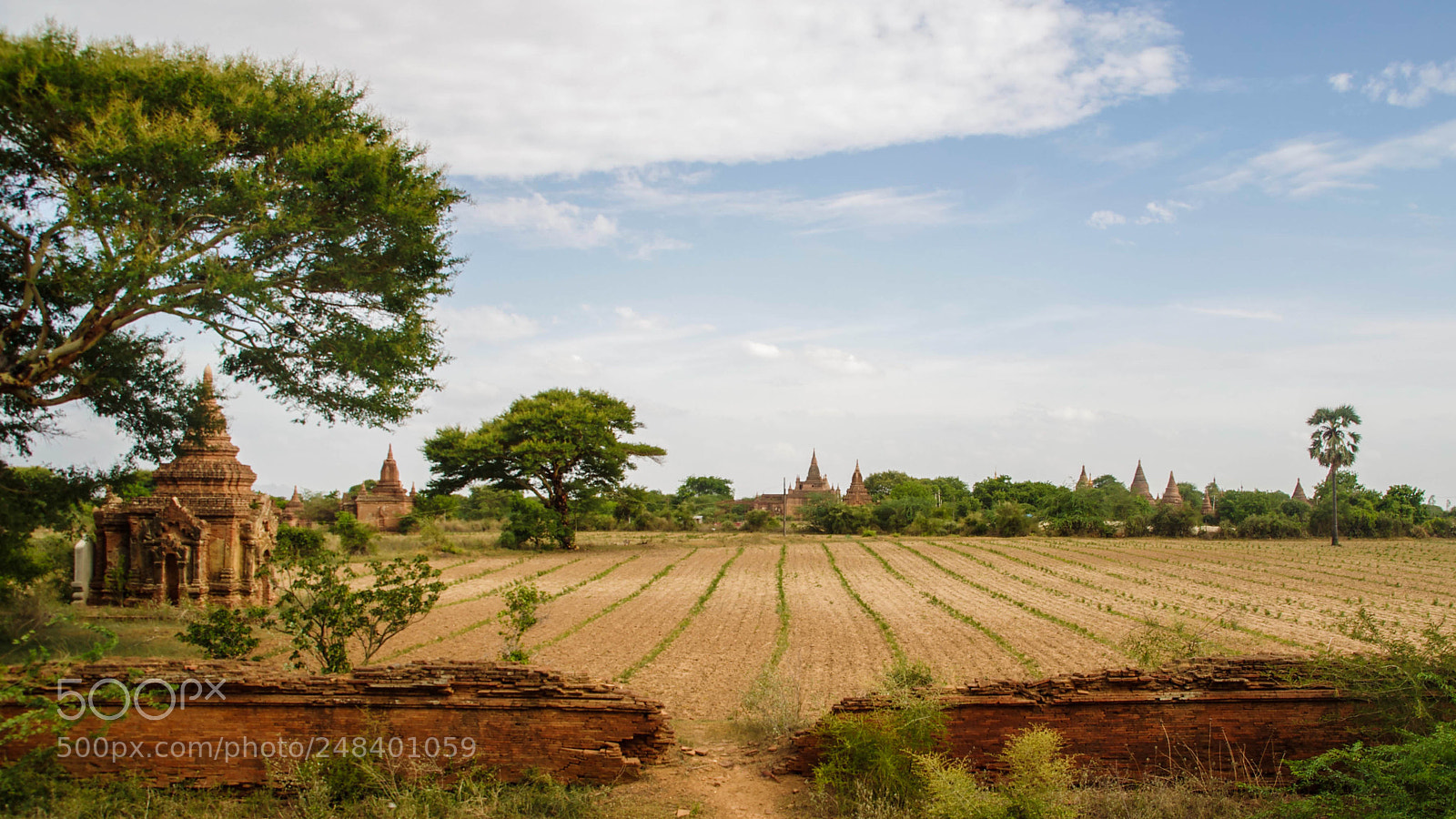 Pentax K-5 sample photo. Myanmar photography