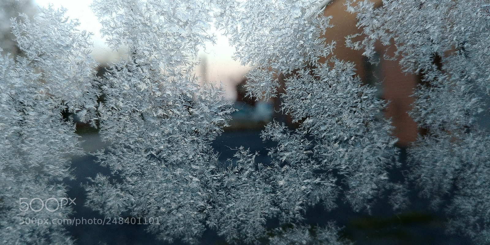 LG G6 sample photo. Ice chrystal photography