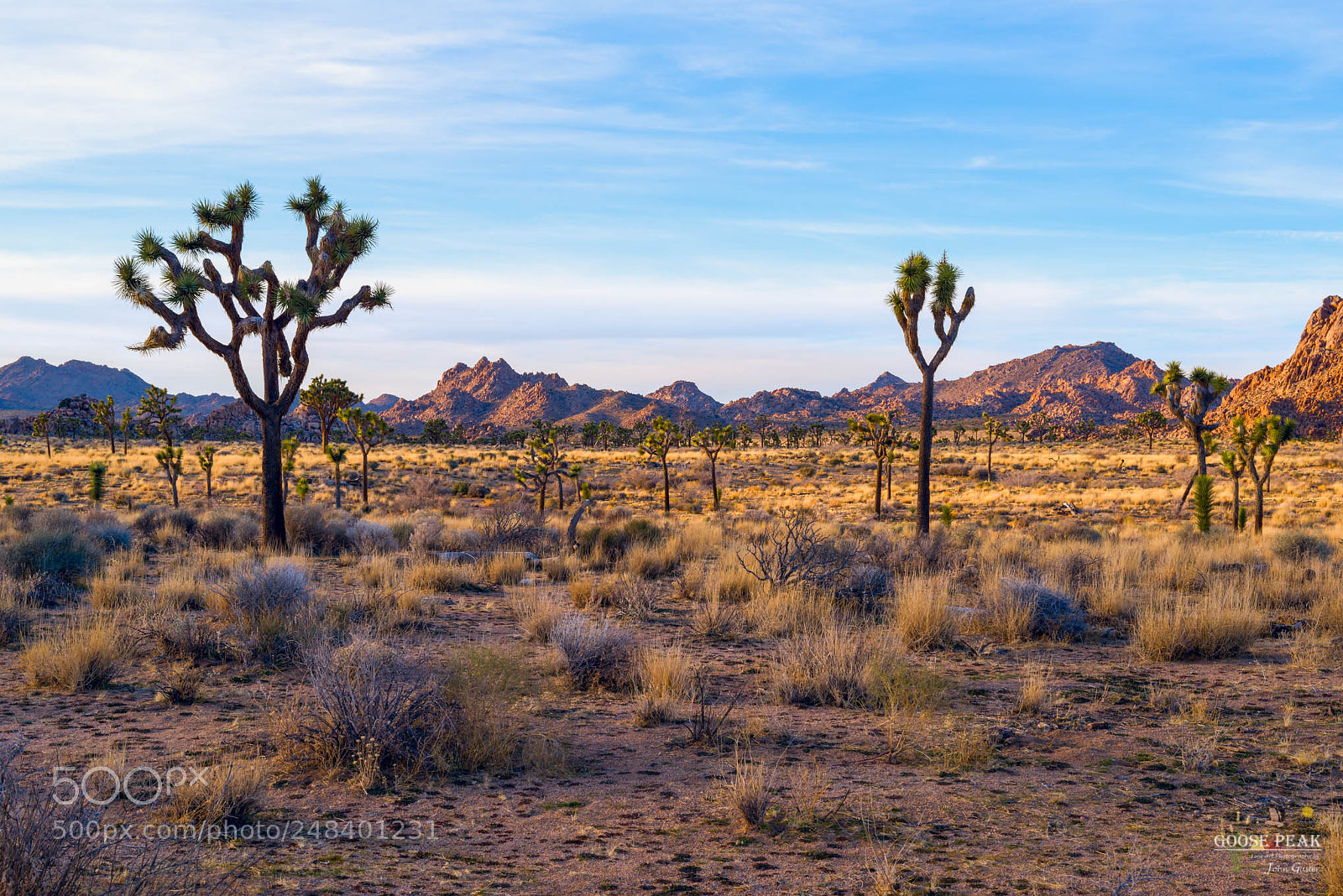 Sony a7R sample photo. Warm desert evening photography