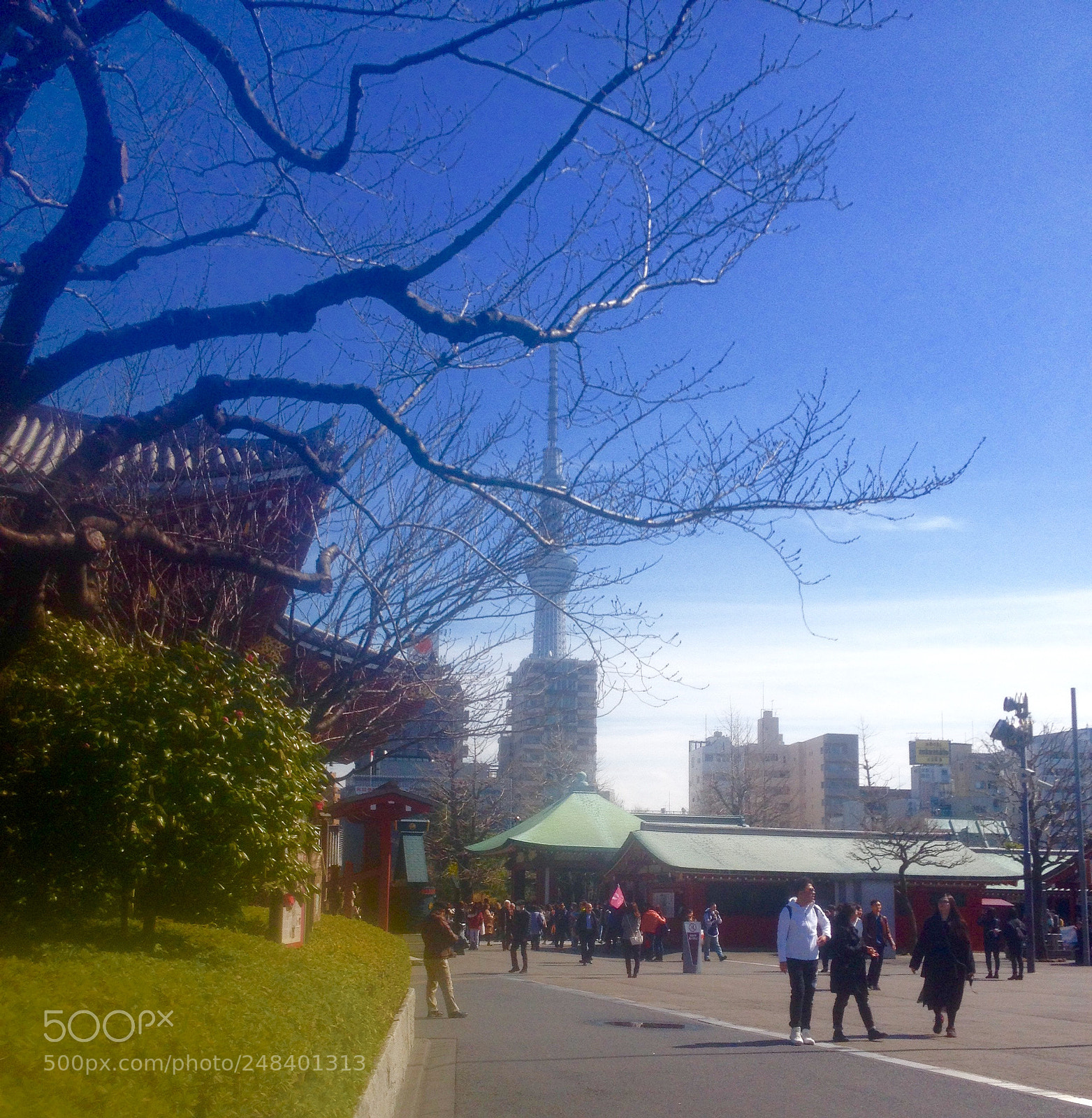 Apple iPhone 4S sample photo. Japon photography