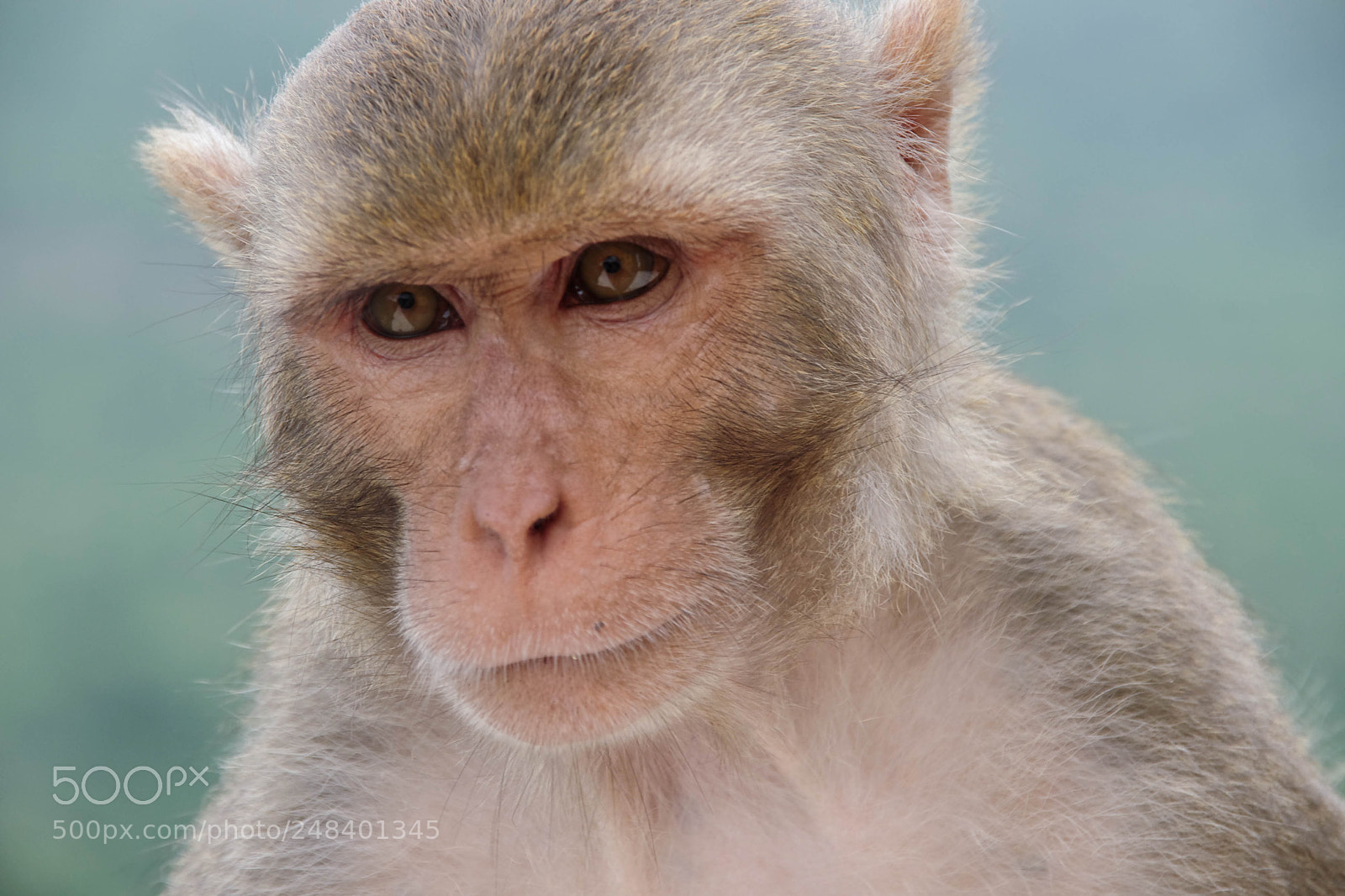 Pentax K-5 sample photo. Myanmar photography