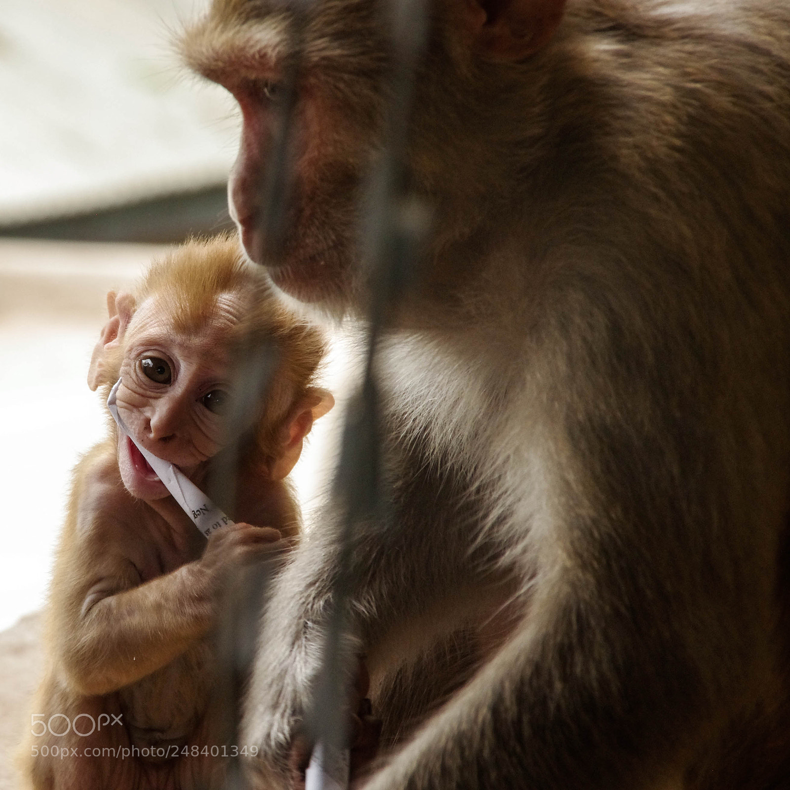Pentax K-5 sample photo. Myanmar photography