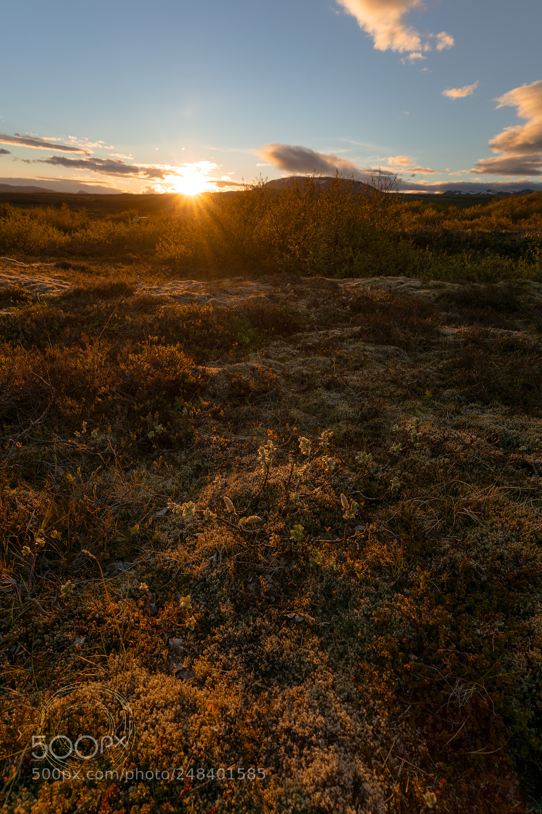 Sony a7R II sample photo. Early morning bliss photography