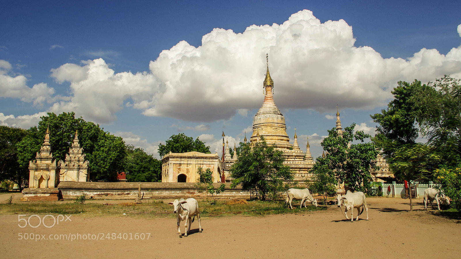 Pentax K-5 sample photo. Myanmar photography