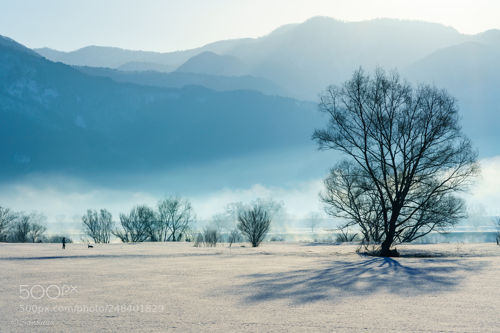 Sony a7R II sample photo. The landscape of some photography