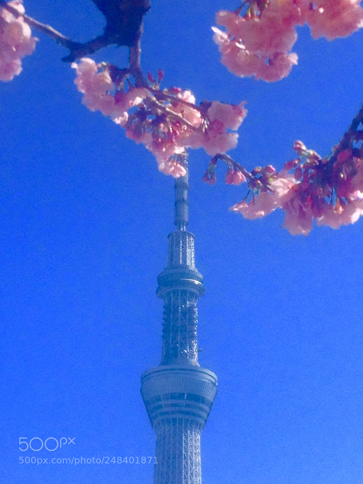 Apple iPhone 4S sample photo. Tokyo photography