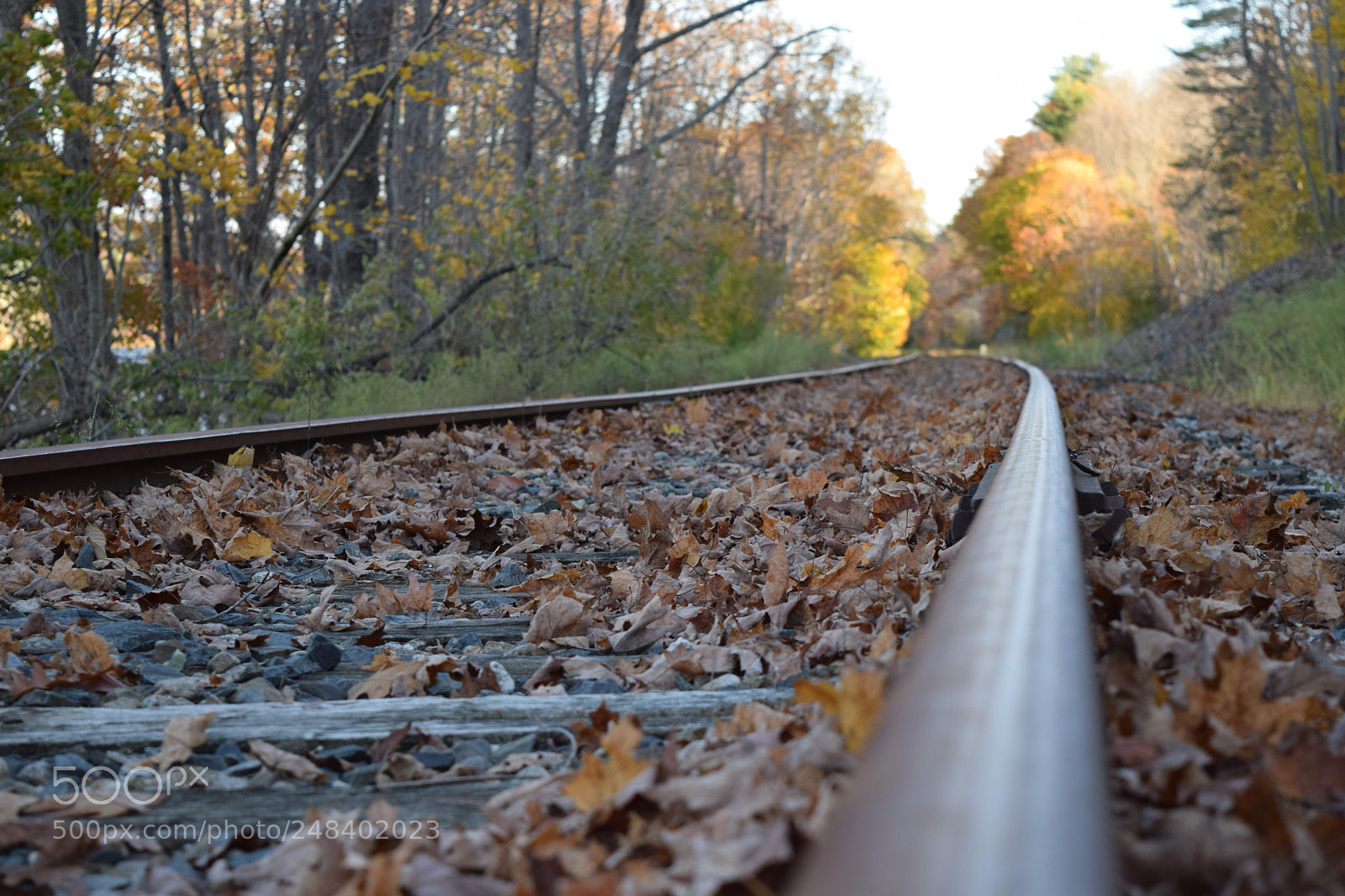 Nikon D5300 sample photo. The tracks photography