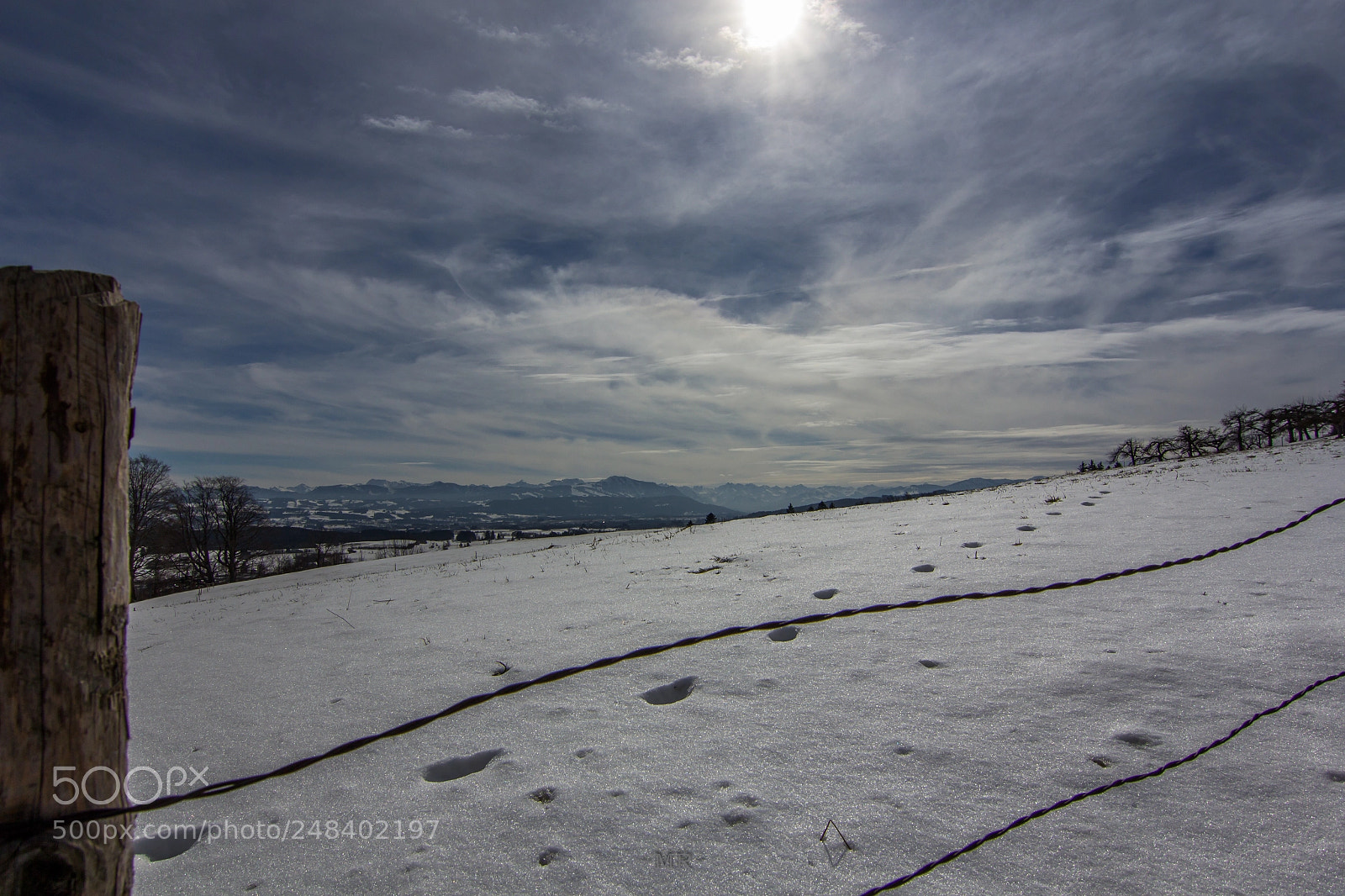 Canon EOS 60D sample photo. Tracks in the snow photography